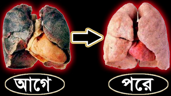 ঘরোয়া তিন খাবারেই ফুসফুস থাকবে পরিষ্কার