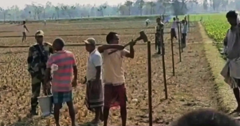 ছবি : সংগৃহীত