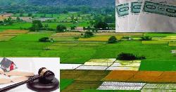 ২০২৫ সালের মধ্যে যে ১১ ধরনের জমি ফিরে পেতে যাচ্ছেন প্রকৃত মালিক