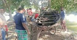 ঝিকরগাছায় বাঁওড়ের চোরাই মাছসহ নৌকা ও জাল জব্দ