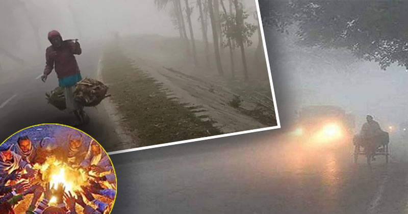 শীতে কাঁপছে সারা দেশ, তীব্র শৈত্যপ্রবাহের ভয়ঙ্কর আশঙ্কা!