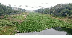 শতকোটি টাকা ব্যয়ে জোয়ার-ভাটা ফেরেনি কপোতাক্ষে! 