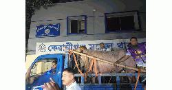 কেরানীগঞ্জ থেকে চিড়িয়াখানার পথে ‘ডোনাল্ড ট্রাম্প’!