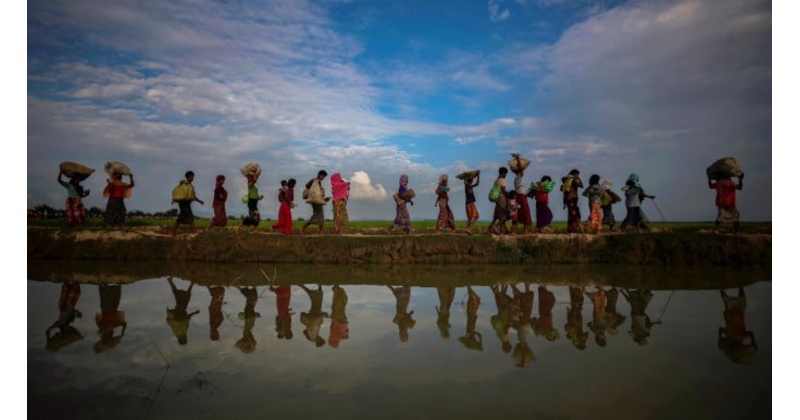সংগৃহীত ছবি