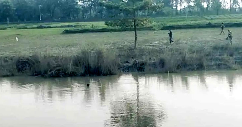 সংগৃহীত ছবি