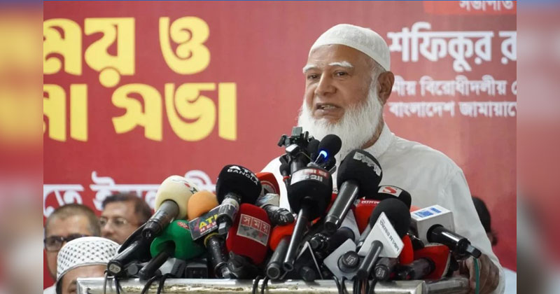 সংগৃহীত ছবি