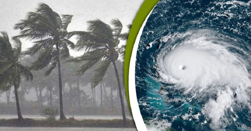 প্রতীকী ছবি