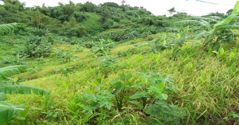 প্রতীকী ছবি